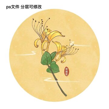 草药插画之金银花