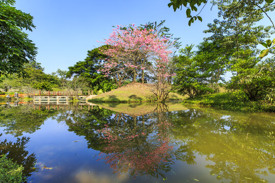 中国科学院西双版纳热带植物园