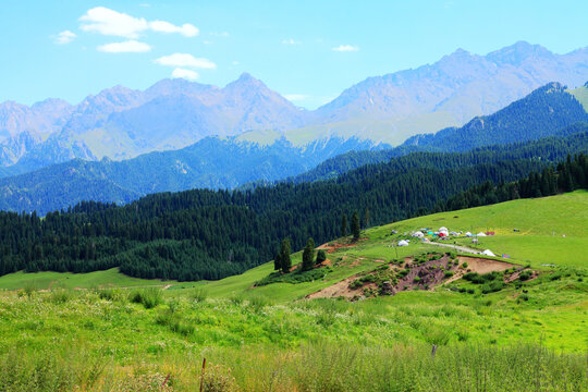 东山牧场