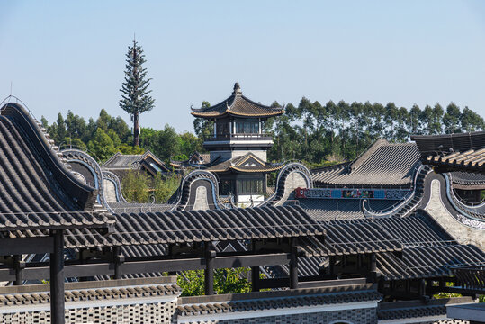 广州市文化馆古建筑风景