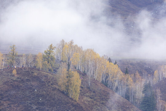 新疆喀纳斯禾木村云雾缭绕秋色