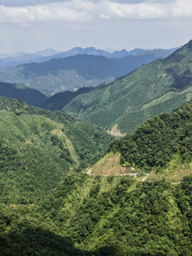 山野