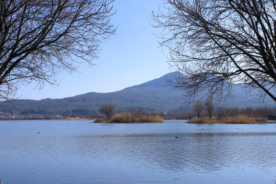 云南丽江拉市海风景