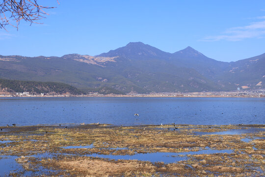 云南丽江拉市海风景