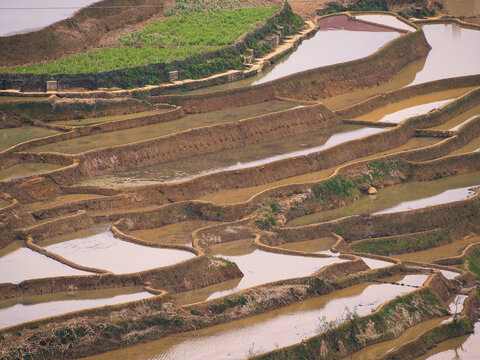 甲寅梯田