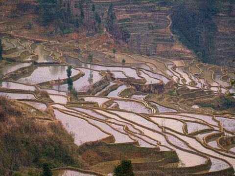 甲寅梯田