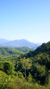 山林树木深圳梧桐山电视塔