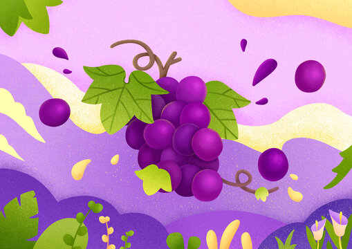 葡萄水果类商业插画