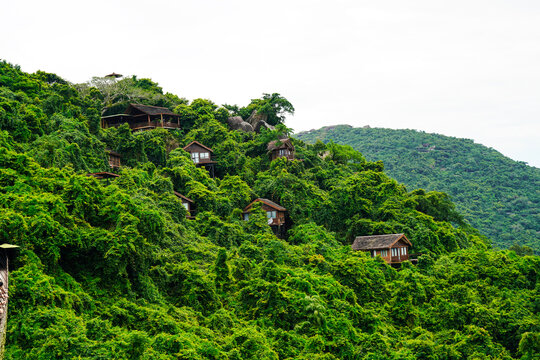 亚龙湾森林公园