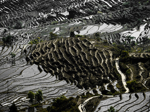 撒玛坝梯田