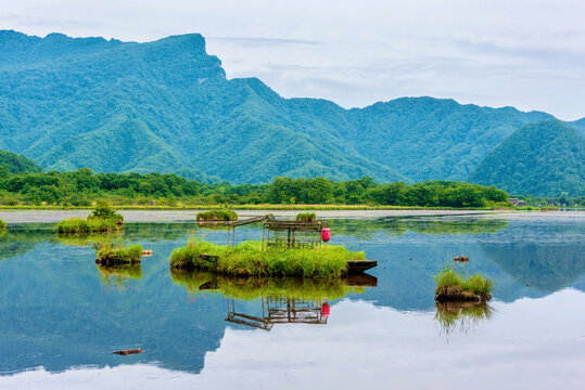 中国湖北神农架大九湖风光