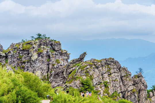 湖北神农架神农顶板壁岩石林