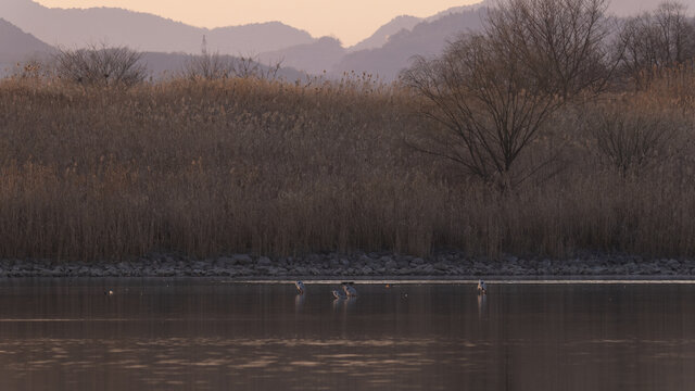 杭州市南湖清晨生态环境
