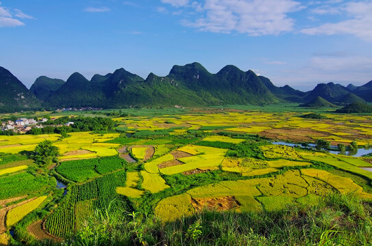 稻田乡村风景