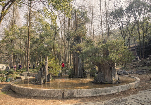 大型园林假山盆景