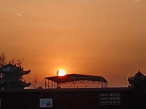 夕阳红