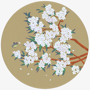中国风工笔花卉与彩蝶图