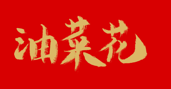 油菜花