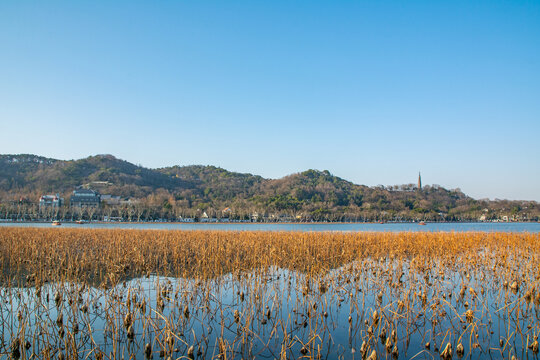 杭州西湖