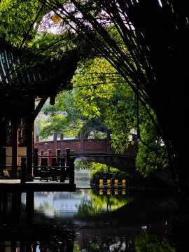 棠湖公园一景