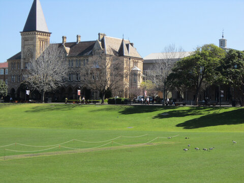 悉尼大学