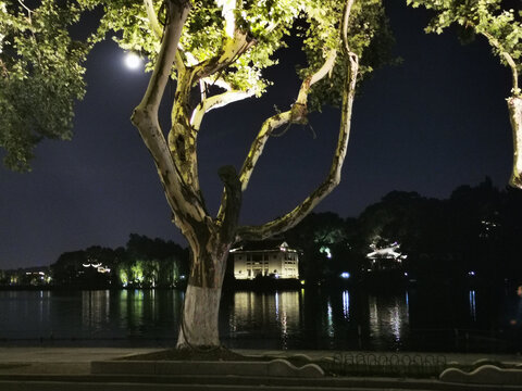 西湖夜景