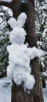 雪兔报春