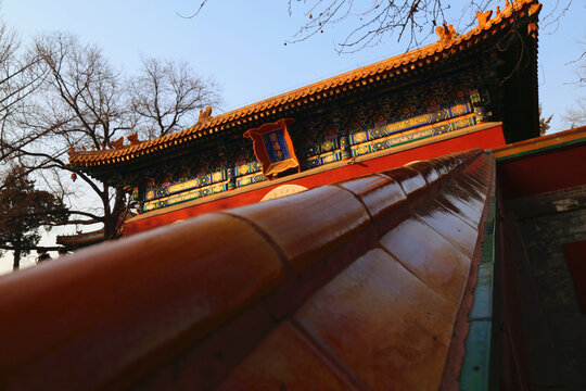 北海阐福寺