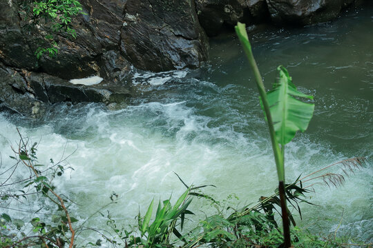 溪流小溪流水山泉水