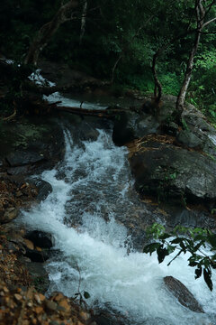 溪流小溪流水山泉水