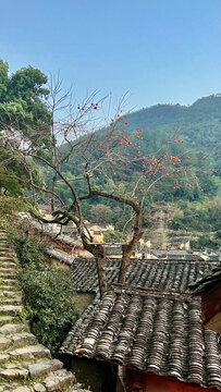 杨家堂村