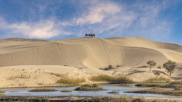 新疆罗布人村寨沙漠自然风景