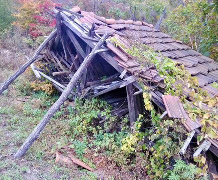 坍塌的木瓦房