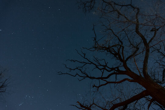 夜晚星空