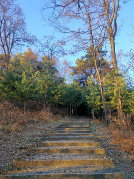 山间石阶路