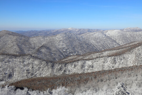 大秃顶子山