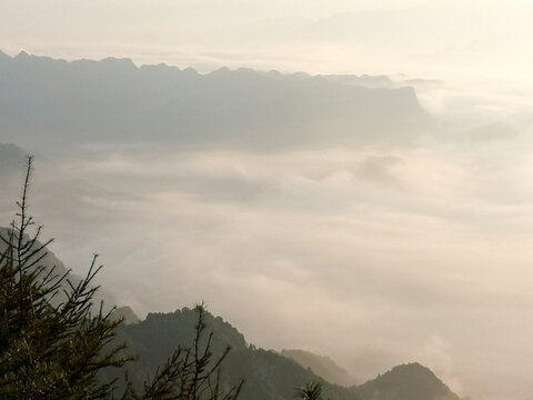 高山云海