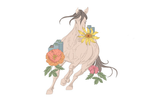 馬