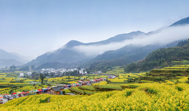 婺源江岭村油菜花全景图