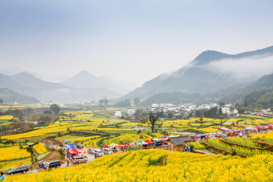 婺源江岭村油菜花