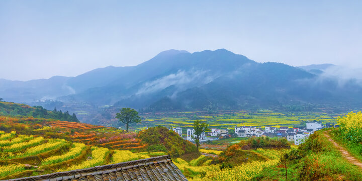 婺源江岭村油菜花全景图