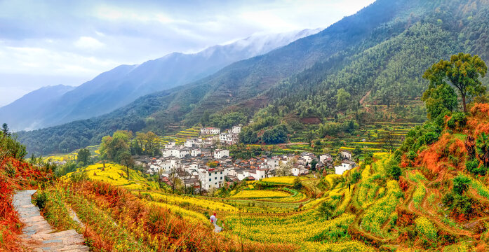 婺源江岭村油菜花全景图