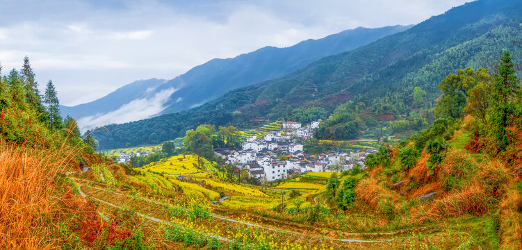 婺源江岭村油菜花全景图