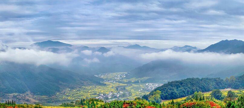 婺源江岭村云海油菜花全景图