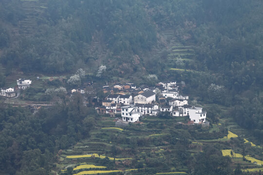 婺源江岭村