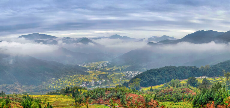 婺源江岭村云海油菜花全景图