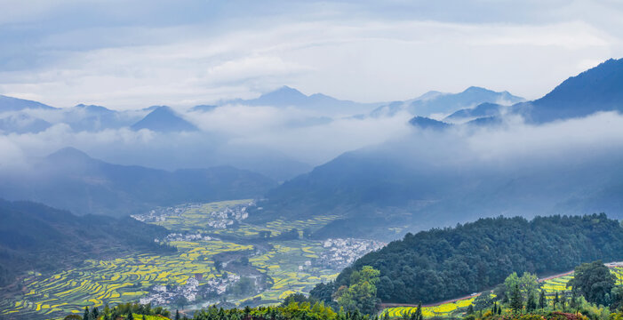 婺源江岭村云海油菜花全景图