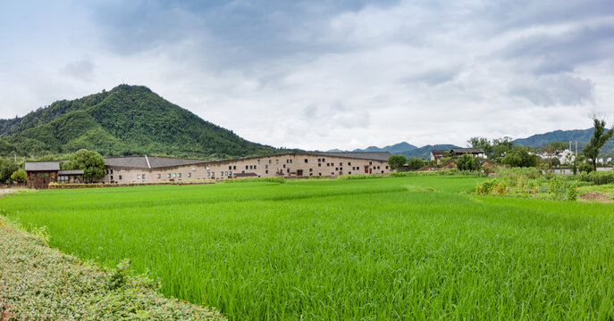 婺源松风翠景区田园风光