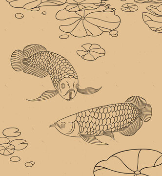 金龍魚荷葉線描