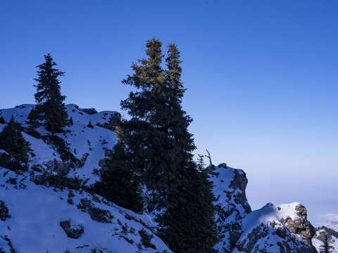 新疆天山雪山